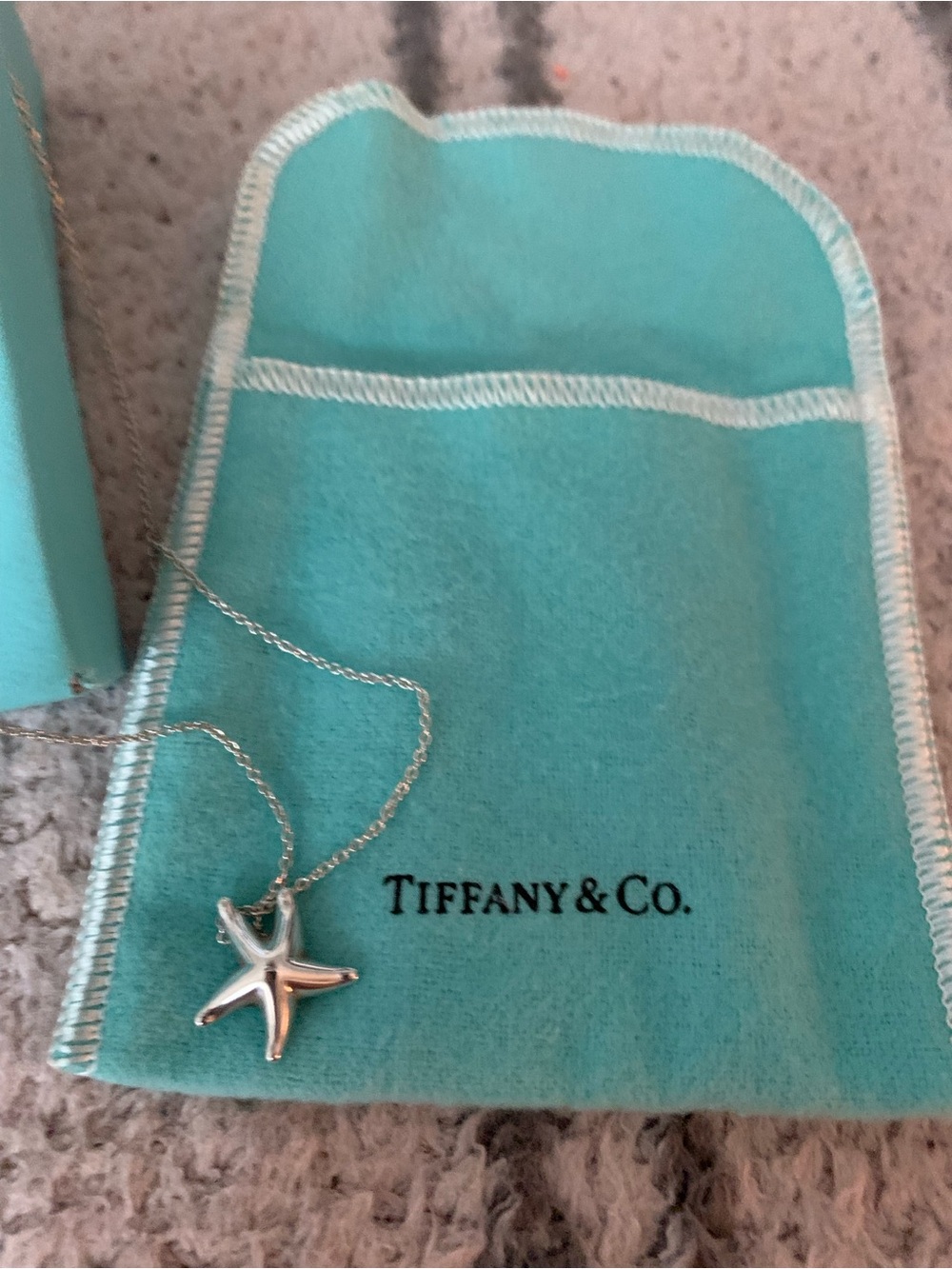 Tiffany & Co. Silver Pendant Necklace with sliding chain